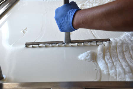 Detail of lyre cutting the curd of cow and goat milk.