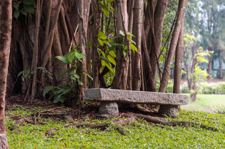 Bench in parkの写真素材
