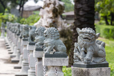 Line of Chinese stone lion statueの写真素材