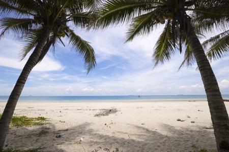 Two coconut tree on the sea and blue sky の写真素材