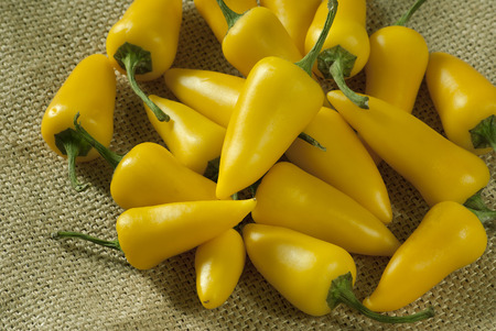 Yellow chili on burlapの写真素材