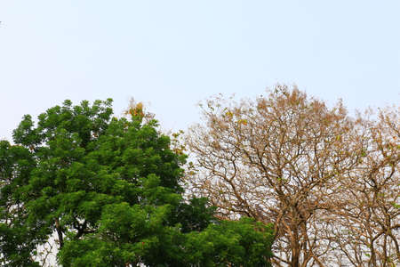 spring and autumnの写真素材