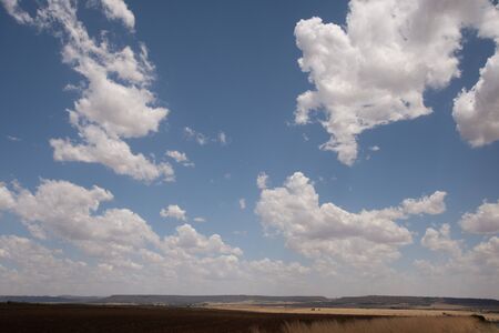 Open field under blue skyの写真素材