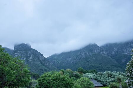 Kirstenbosch is a botanical garden at the eastern foot of Table Mountain in Cape Town. The garden is one of ten National Botanical Gardens covering five of South Africa's six different biomes and administered by the South African National Biodiversity Institute (SANBI).の写真素材