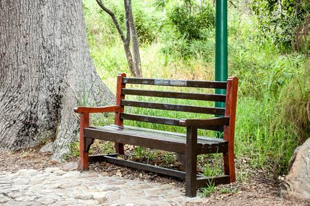 An wooden bench waiting for a passer by in the Kirstenbosch Botanical Garden.の写真素材