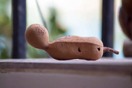 Tamarind pulp is widely used for cooking in South and Southeast Asia, Mexico, the Middle East and...