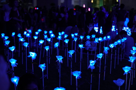 PUTRAJAYA,MALAYSIA - December 30, 2017: Putrajaya Malaysia, Festival of light and Motion (LAMPU) is one of the event in putrajaya.のeditorial素材