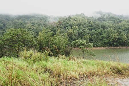 View of water reservoir for hydroelectric dam located in Malaysia. Lush vegetation,cloudy foggy...