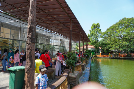 JOHOR, MALAYSIA - FEBRUARY 2019 : Malaysian spending their Chinese New Year long holiday visiting the Johor Zoo in Johor Bahru.のeditorial素材