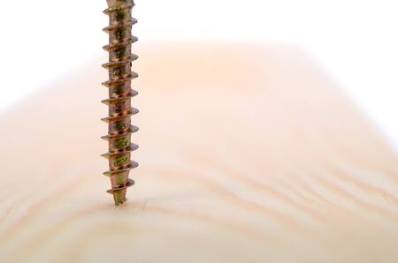 Wood Screw being screwed into a wood , Carpenter woodwork, screwing concept.