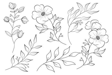 Spring flowers line art doodle composition design collectionのイラスト素材
