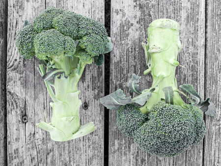 biologically grown broccoliの写真素材