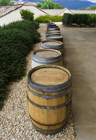 Wine barrels lined-upの写真素材
