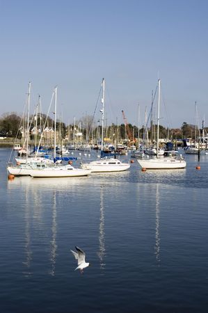 Yachts in Harbourの写真素材