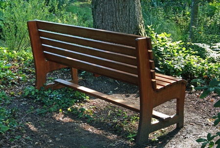 Relaxing empty wooden bench with scenic viewの写真素材