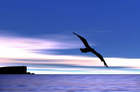 Gull flying in the beach (created in PS)