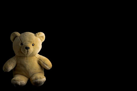 Teddy Bearの写真素材