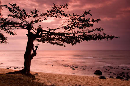 Beautiful sunset of an amazing beach in Sao Tom - Equatorの写真素材