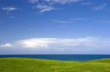 beautiful meadow with Green grass and blue sky