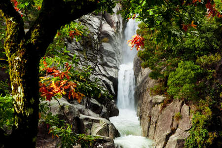 Beautiful waterfall of fresh and pure water の写真素材