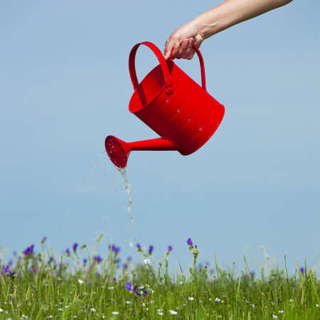 Female hand holding a water can and watering the flowersの写真素材