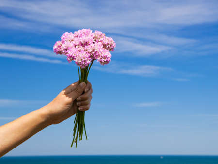 Female hand holding some wildflowers against a blue skyの写真素材