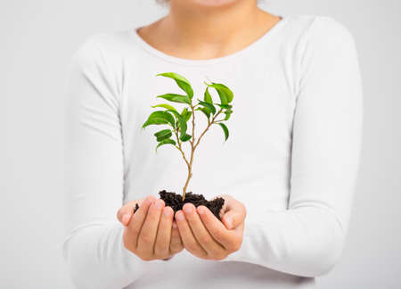Cute little girl holding a green plant oh her handsの写真素材
