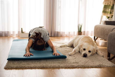 Shot of a woman doing exercise at home with her dogの写真素材