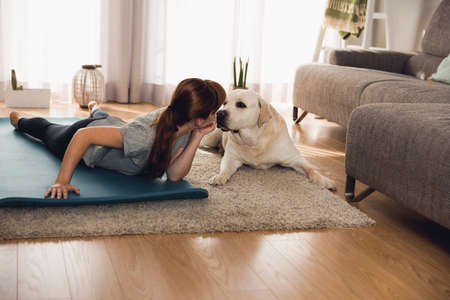 Shot of a woman doing exercise at home with her dogの写真素材