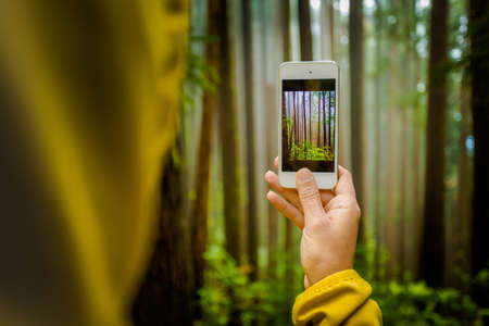 Woman taking a photo to the forest with her phoneの写真素材