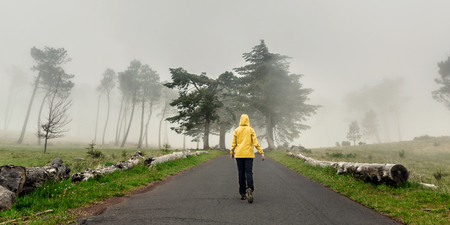 Female traveler walking on a beautiful road on a foggy morningの写真素材
