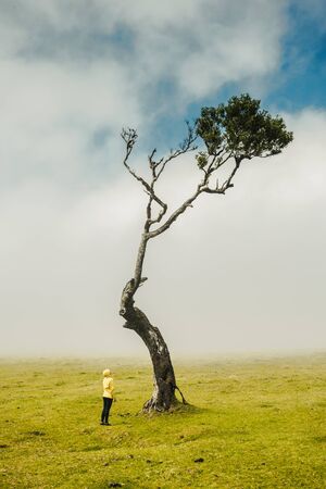 Traveller woman feeling the power of the nature at an ancient forestの写真素材