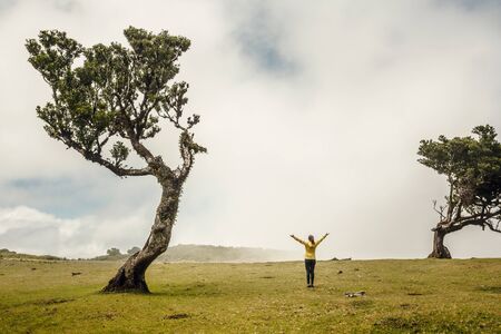 Traveller woman feeling the power of the nature at an ancient forestの写真素材