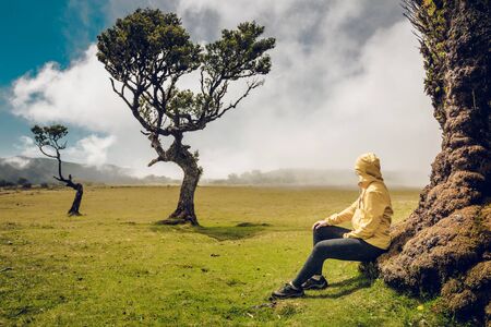 Woman resting near an Ancient tree and enjoying the viewの写真素材