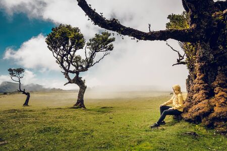 Woman resting near an Ancient tree and enjoying the viewの写真素材