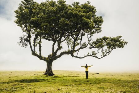 Traveller woman feeling the power of the nature at an ancient forestの写真素材