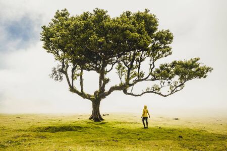 Traveller woman feeling the power of the nature at an ancient forestの写真素材