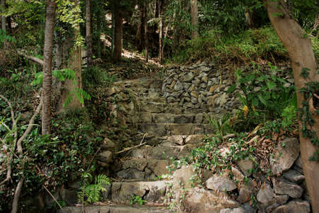 Fantastic Stone Stairsの写真素材