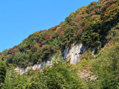A terrace with autumn leavesの写真素材