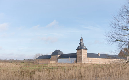 Hasselt. Limburg - Belgium. 01/24/2021 An ancient castle on the bank of the river. Landscape - reeds, blue skyのeditorial素材