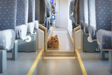 Carriage of a domestic dog in the passenger car of a train.の写真素材