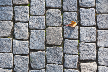 Autumn motive. A stone road with yellowed autumn leaves. Copy space backgroundの写真素材