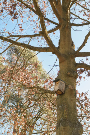 Bird house on a tree. Wooden birdhouse, nesting box for birds in park