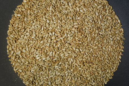 Sunflower seeds, roasted sunflower seeds in a frying pan. Toptable. Closeupの写真素材