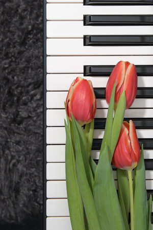 A keyboard with three red tulips in the foreground. The keyboard is black and whiteの写真素材