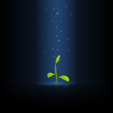 Glowing star dust falls from above on the green growing sprout with leaf and water drops.のイラスト素材