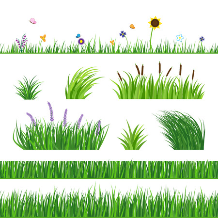 Green seamless grass elemnts. Lawn grass, reed and sunflower. Flying butterflies and flowers. Horizontal seamless elements.のイラスト素材