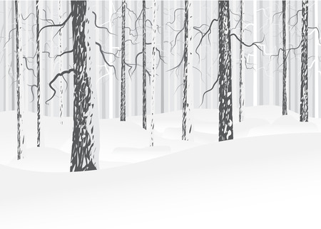 Vector winter forest with snow. Trees with bark. Gray and white colors. Abstract background.のイラスト素材