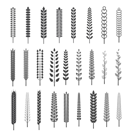 A set of black retro vintage spikelets of different sizes and shapes on a white background. Spike for graphic or printing awards and symbols.のイラスト素材