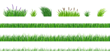 Horizontal seamless elements of green grass of different degree of germination. Strizhenaya and fresh vegetation. Bushes with flowers and reeds.のイラスト素材
